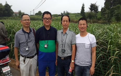 2014年8月，中國蔬菜流通協(xié)會(huì)會(huì)長戴中久與公司、市場領(lǐng)導(dǎo)一起考察蔬菜基地