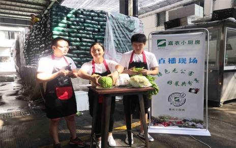 創(chuàng)意直播帶貨,本期專欄：蘭州高原夏菜！