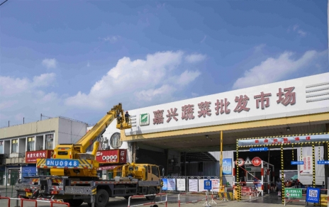 進(jìn)無(wú)止境，“嘉農(nóng)?蔬菜人”