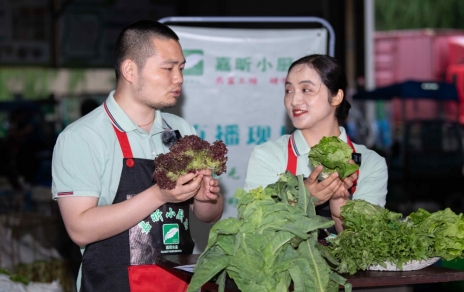 千金如玉，一口清心--生菜?油麥菜?萵筍直播專場